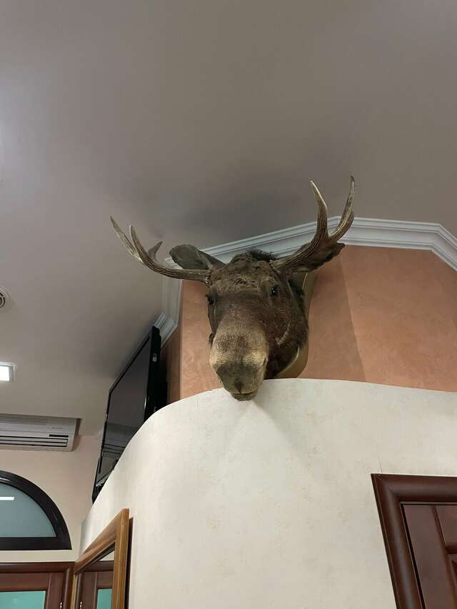 Гостиница Лось Москва-129